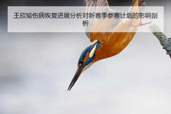 wang-xin-yu-shang-bing-hui-fu-jin-zhan-fen-xi-dui-xin-sai-ji-can-sai-ji-hua-de-ying-xiang-pou-xi-2-595.jpg